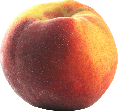 contender-peach_png500-x470