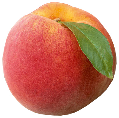 reliance-peach-(detail)